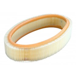 RENAULT CLIO OVALADO