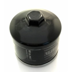 RENAULT 19 CON TUERCA