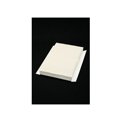 CITROEN PICASSO - PEUGEOT 307