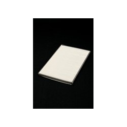 RENAULT MEGANE-SCENIC