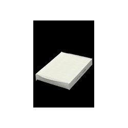 RENAULT CLIO II - KANGOO 1.4 - 1.5