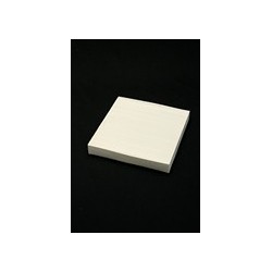 RENAULT LAGUNA TODOS 02