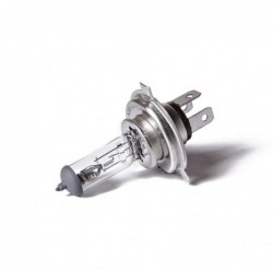LAMPARA H4 PT 43 24V 60/55W X 10