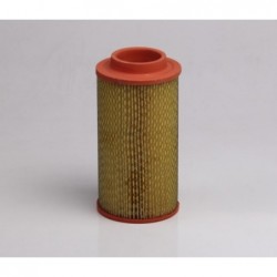 ANSI TUBULAT ALTO 22 CM