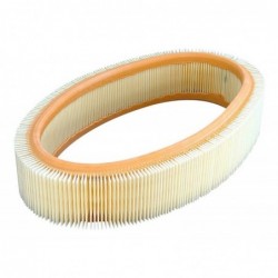 RENAULT CLIO OVALADO