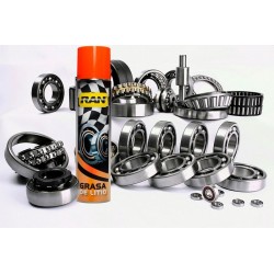 GRASA DE LITIO EN AEROSOL X 440 CC