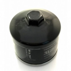 RENAULT 19 CON TUERCA