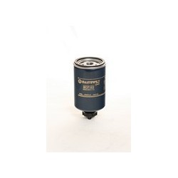 FIAT DUNA DIESEL/BORGWARD VM