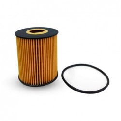 FIAT PALIO 1.6 MOT TORQUE - SIENA - ESTRADA