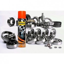 GRASA DE LITIO EN AEROSOL X 440 CC