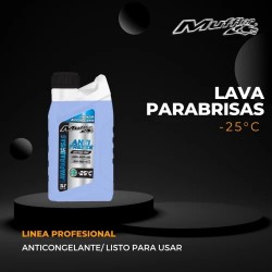 LAVA PARABRISAS ANTI FREEZE X 1L