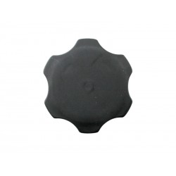 FIAT ARGO-CRONOS-TORO JEEP COMPASS-RENEGADE