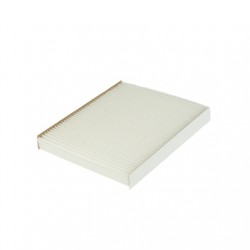 FORD FOCUS III-KUGA II CARBON ACTIVADO